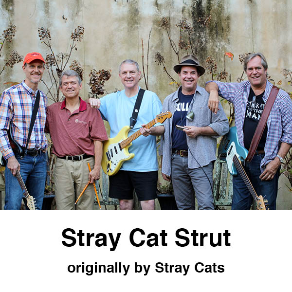 STRAY CAT STRUT